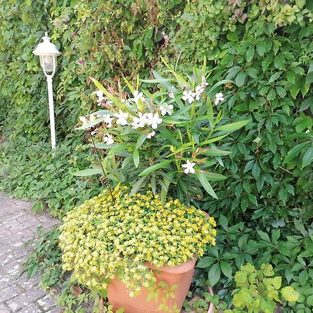 אוקריץ Pension Haus Anneliese מראה חיצוני תמונה