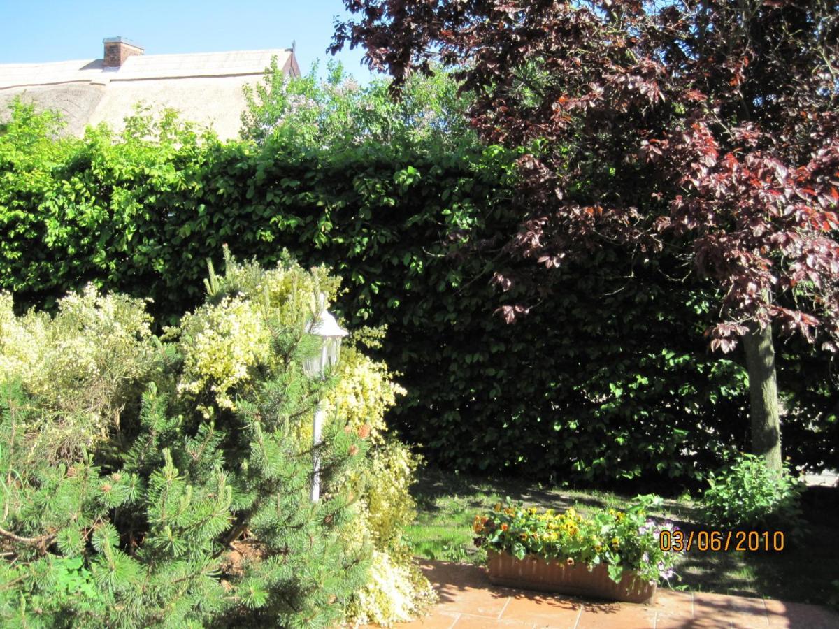 אוקריץ Pension Haus Anneliese מראה חיצוני תמונה