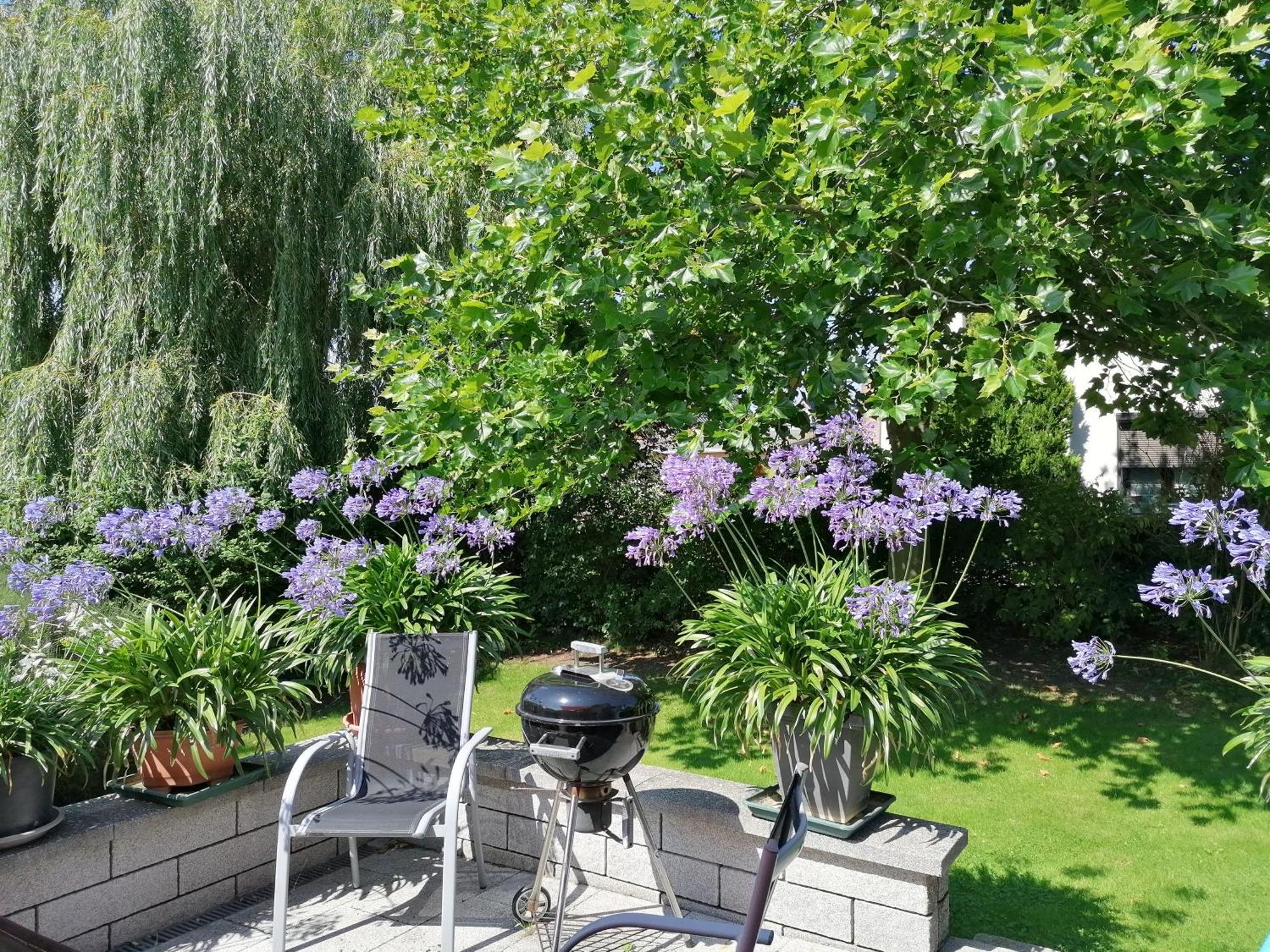 אוקריץ Pension Haus Anneliese מראה חיצוני תמונה