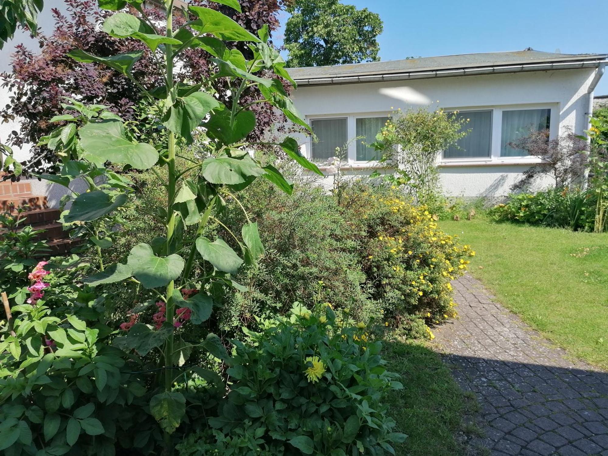 אוקריץ Pension Haus Anneliese מראה חיצוני תמונה