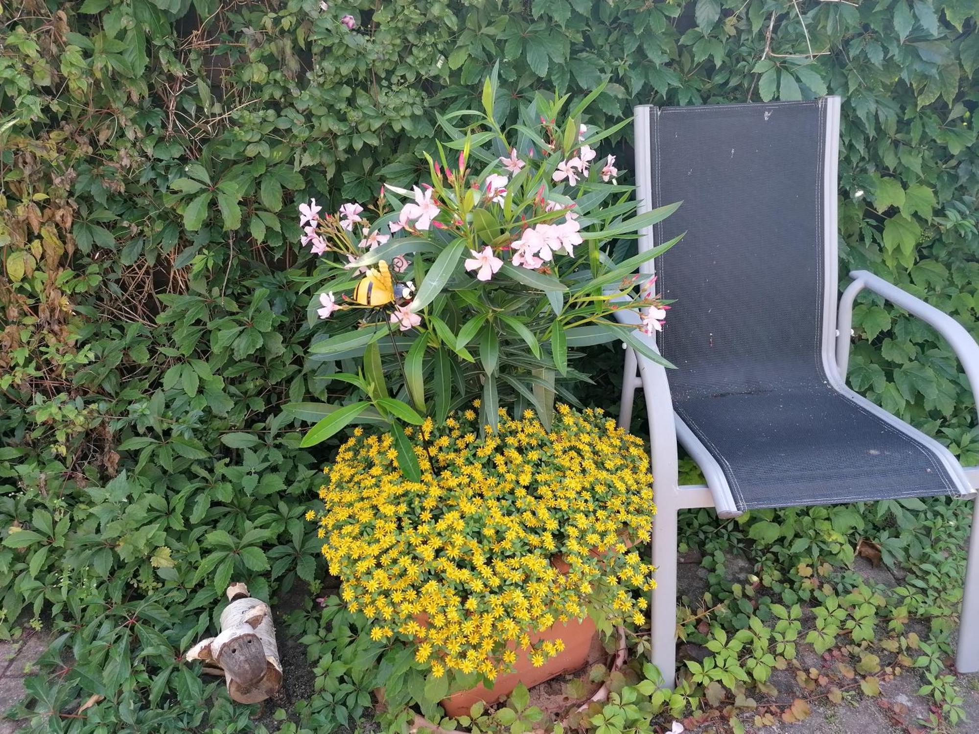 אוקריץ Pension Haus Anneliese מראה חיצוני תמונה