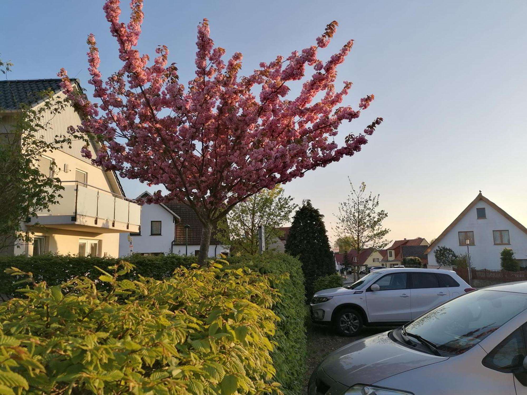 אוקריץ Pension Haus Anneliese מראה חיצוני תמונה