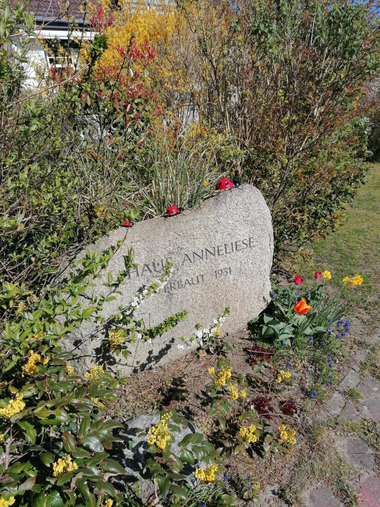 אוקריץ Pension Haus Anneliese מראה חיצוני תמונה