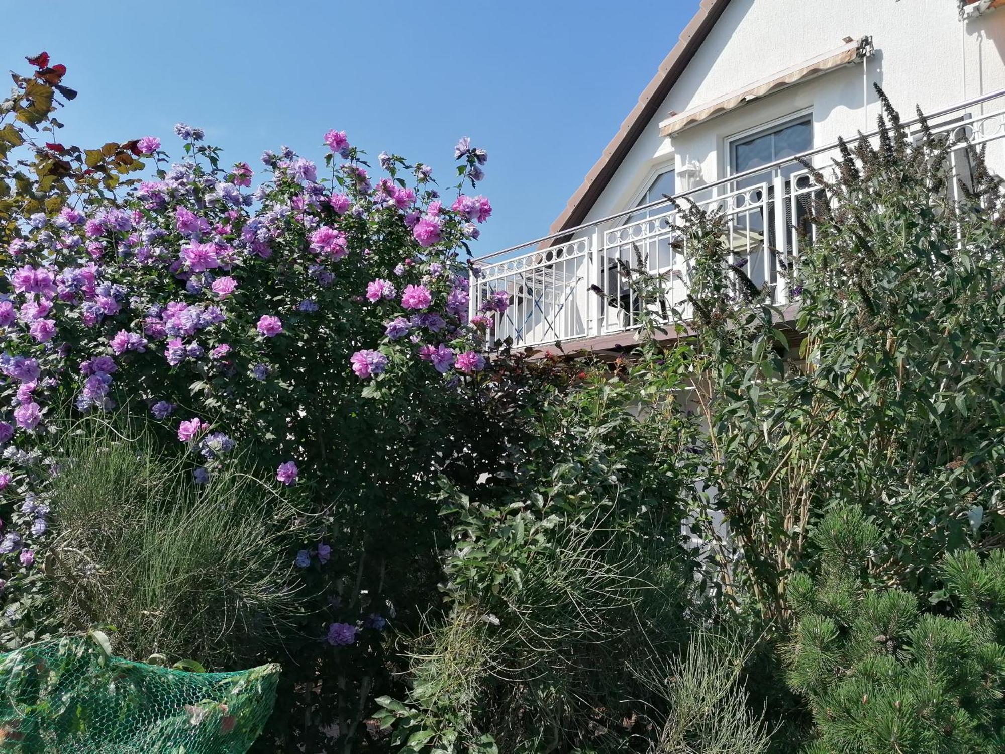 אוקריץ Pension Haus Anneliese מראה חיצוני תמונה