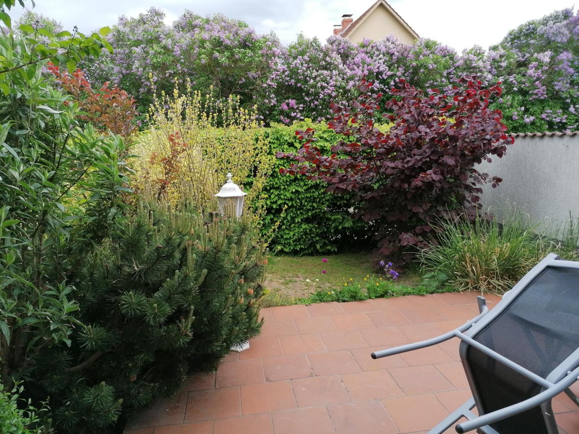 אוקריץ Pension Haus Anneliese מראה חיצוני תמונה